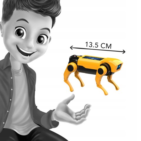 Buki Mini Lab Robot Pies do Złożenia Zdalnie Sterowany Pilot STEM 8+
