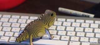 HATTERIA TUATARA Układanka Puzzle 3D EUGY 6+